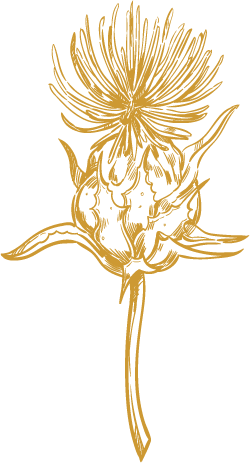 pianta-bulbo-oro-logo