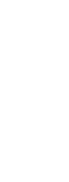 pianta-papavero-bianco