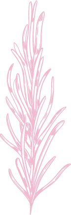 rosmarino-rosa-logo-tenue