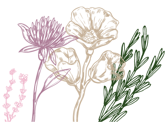 piante-officinali-gruppo-1